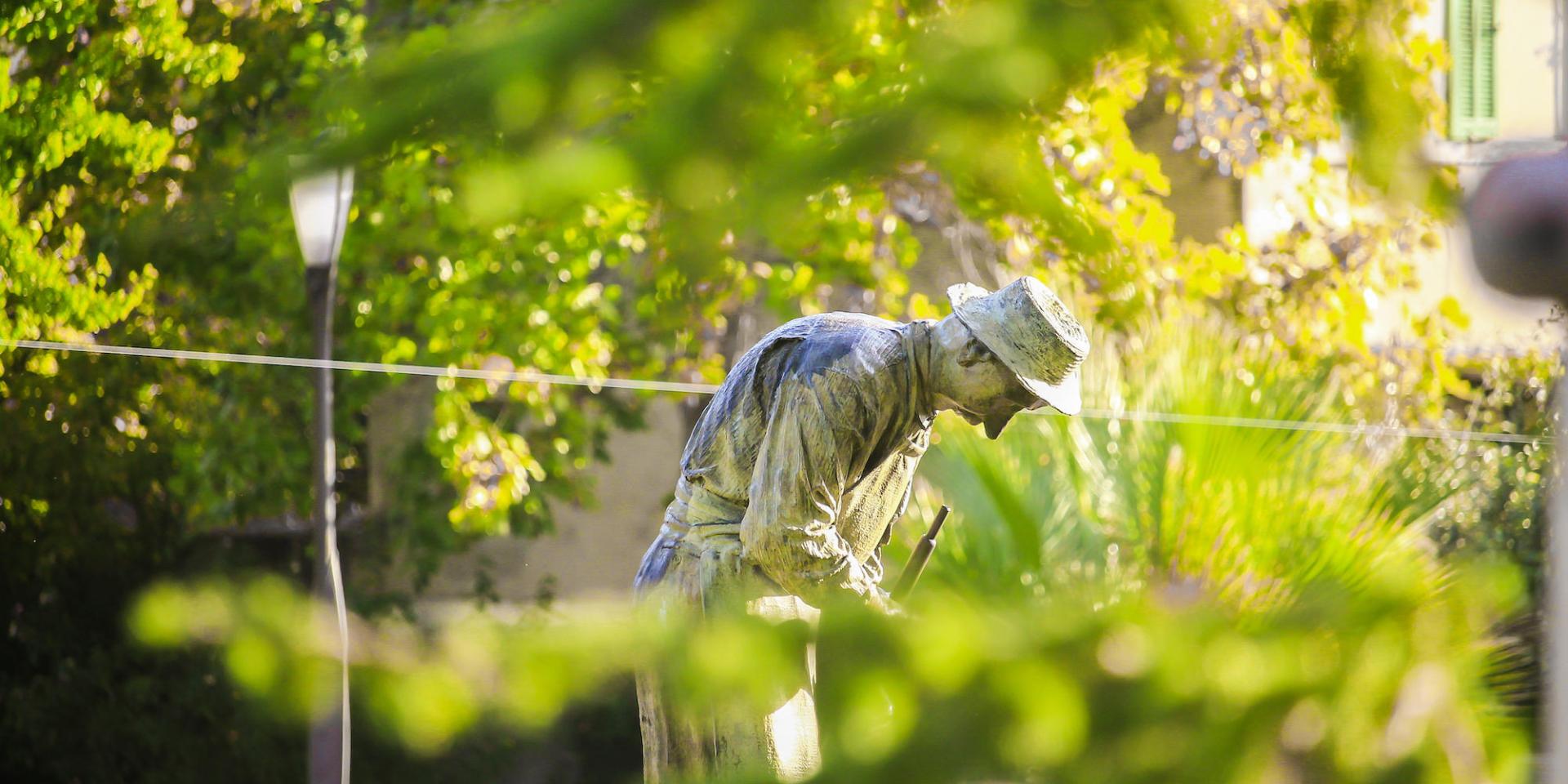 Jardin De La Ville 1